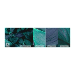 Vzor Fototapety Premium Canvas - Zeleň sama o sobě - Listy, Příroda, Botanika - 100x30 cm