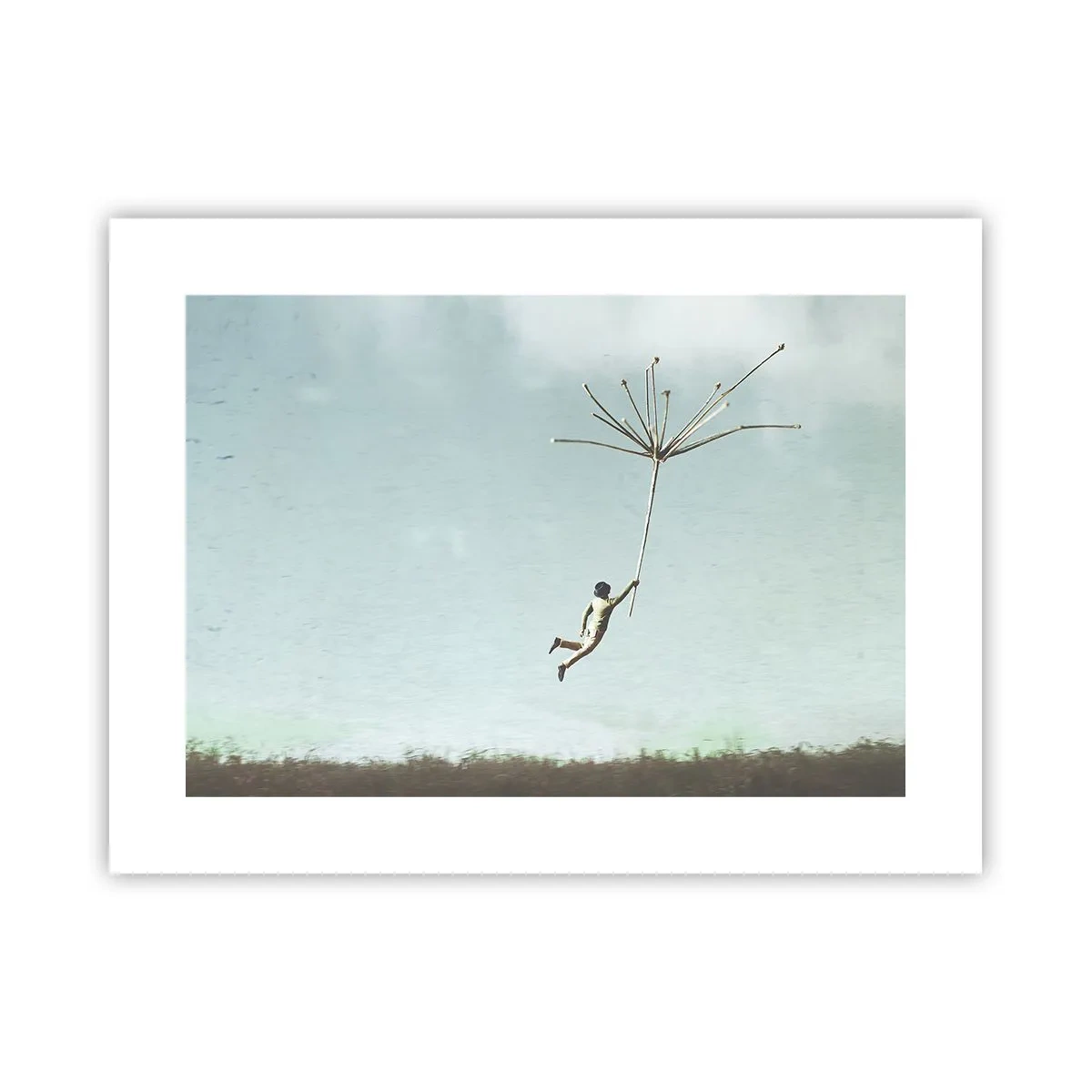 Plakát - Letající pampeliška - 40x30 cm