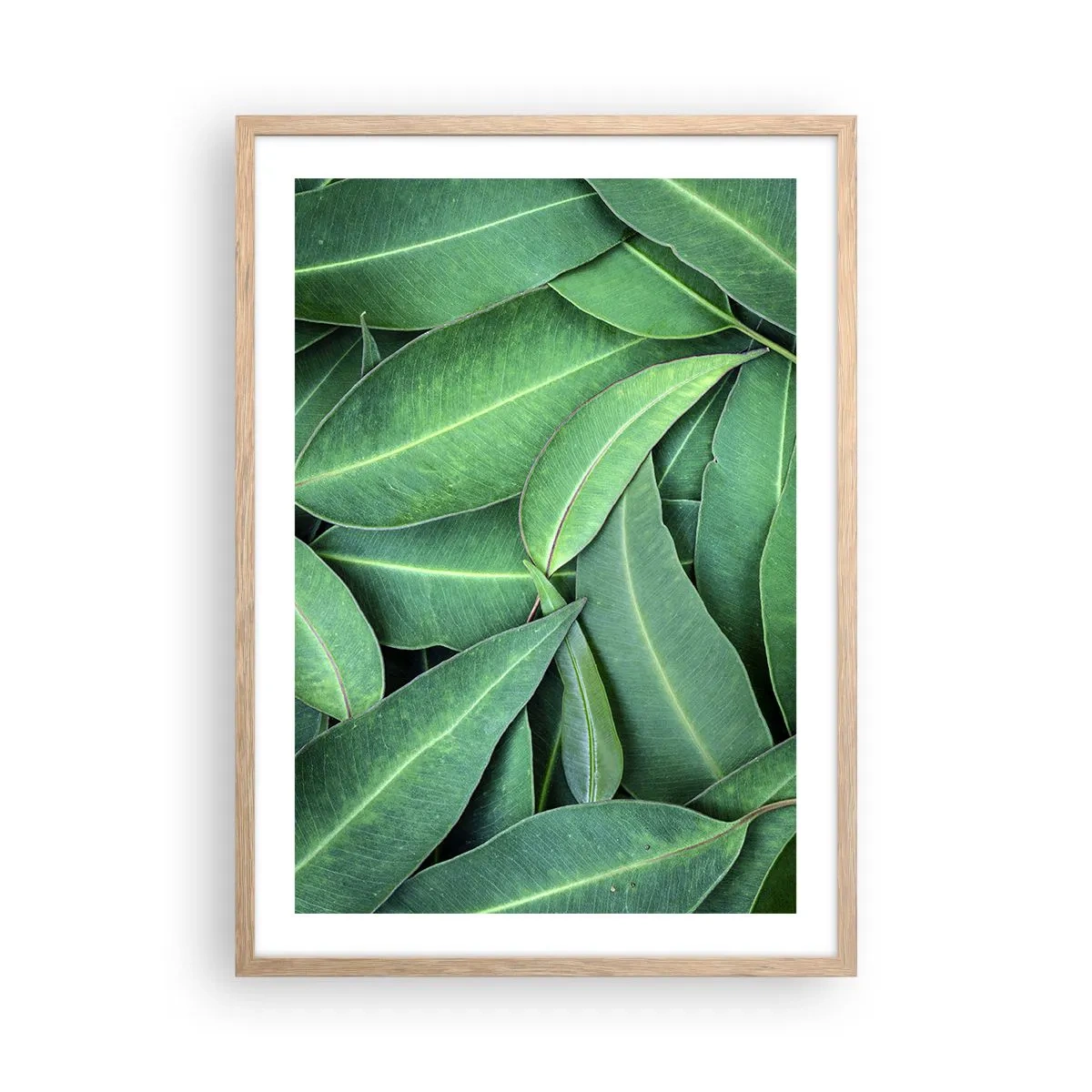 Plakát v rámu světlý dub - Šťavnaté a svěží - 50x70 cm