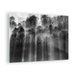 Obraz na skle - Černobílé paprsky světla pronikající lesem - 70x50cm - V paprscích světla - Moderní nástěnná dekorace do obývacího pokoje a ložnice ARTTOR