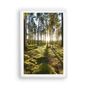 Plakát v bílém rámu - …Za sedmero lesy - 61x91 cm