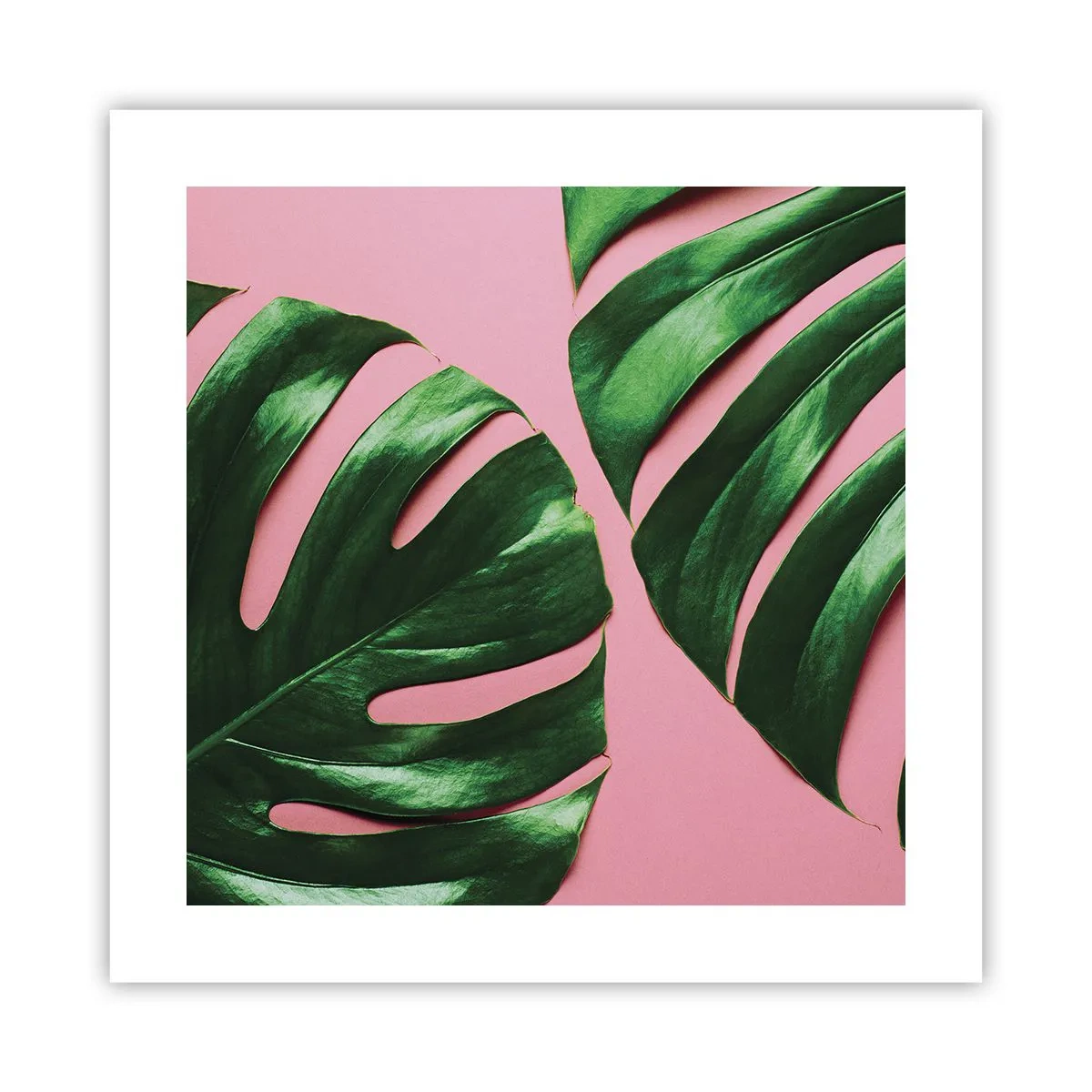 Plakát - Zelené rendez-vous - 40x40 cm