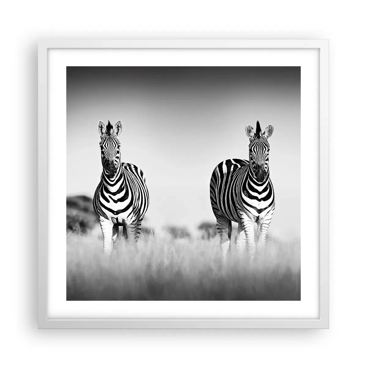 Plakát v bílém rámu - A přesto je svět černo-bílý - 50x50 cm