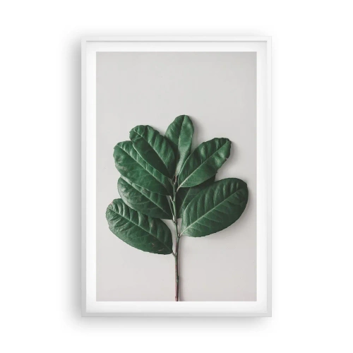 Plakát v bílém rámu - Kresba samotné přírody - 61x91 cm