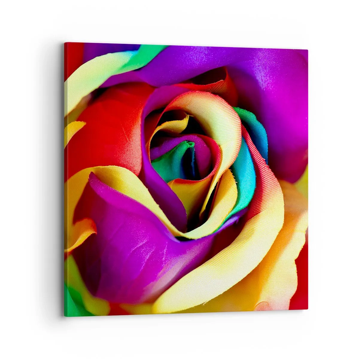 Obraz na plátně - To není možné - 70x70 cm