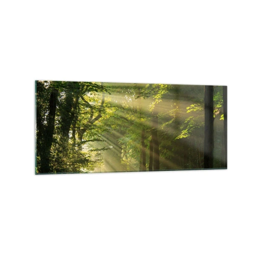Obraz na skle - Lesní okamžik - 120x50 cm
