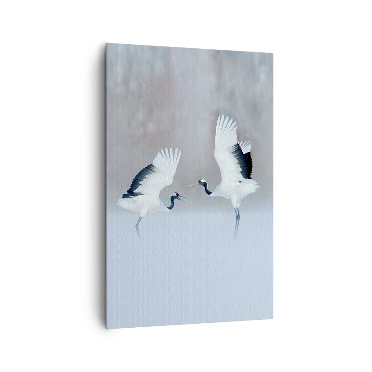 Obraz na plátně - Tanec v mlze - 80x120 cm