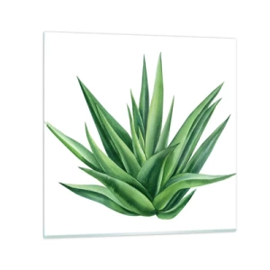 Obraz na skle - Zelená – síla – život - 50x50 cm