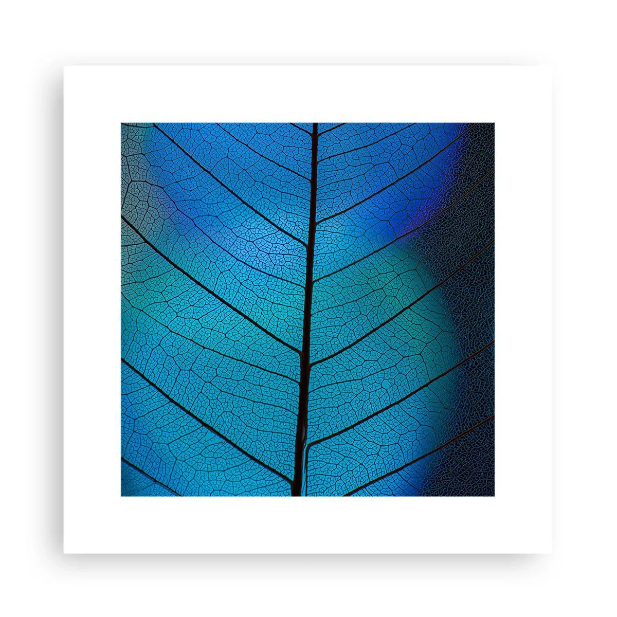 Plakát - Až do detailů - 30x30 cm