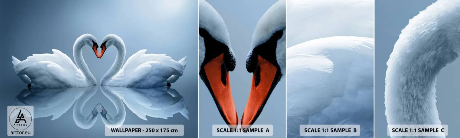 Fototapeta Vzorek Standard Eco - Čas na lásku - labutě, Milovat, Srdce - 100x30 cm