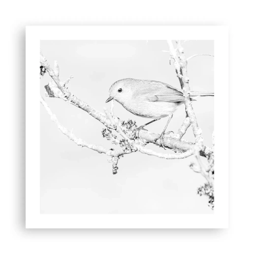 Plakát - Zimní ráno - 50x50 cm