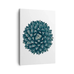 Obraz na plátně - Hvězda pouště - 50x70 cm