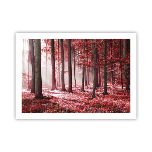 Plakát - Červená je stejně krásná - 70x50 cm