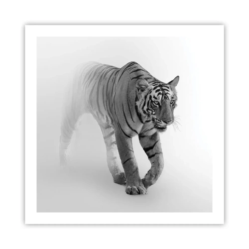 Plakát - Přikrčený v mlze - 60x60 cm