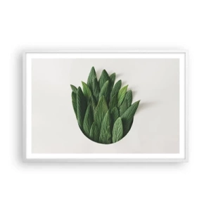 Plakát v bílém rámu - Neukojitelná zvědavost - 91x61 cm