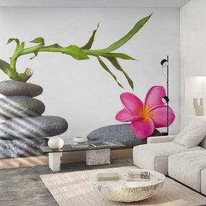Fototapeta Standard Eco - Barvy života a trvání - Květ, Kameny, Lázně - 200x140 cm