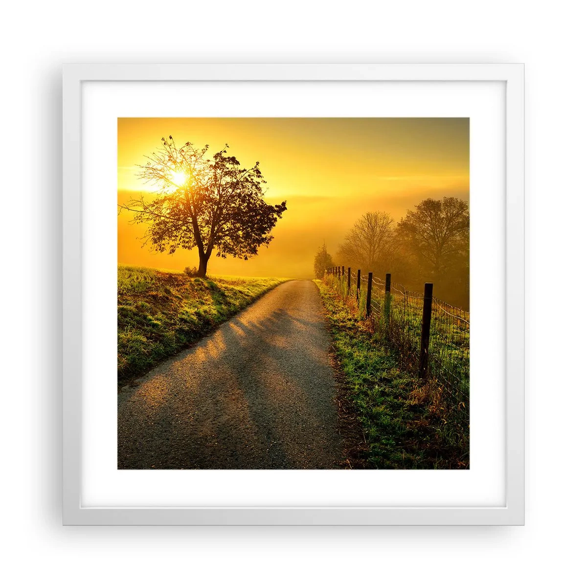 Plakát v bílém rámu - Medové odpoledne - 40x40 cm