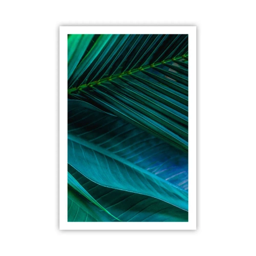 Plakát - Anatomie zelené - 61x91 cm