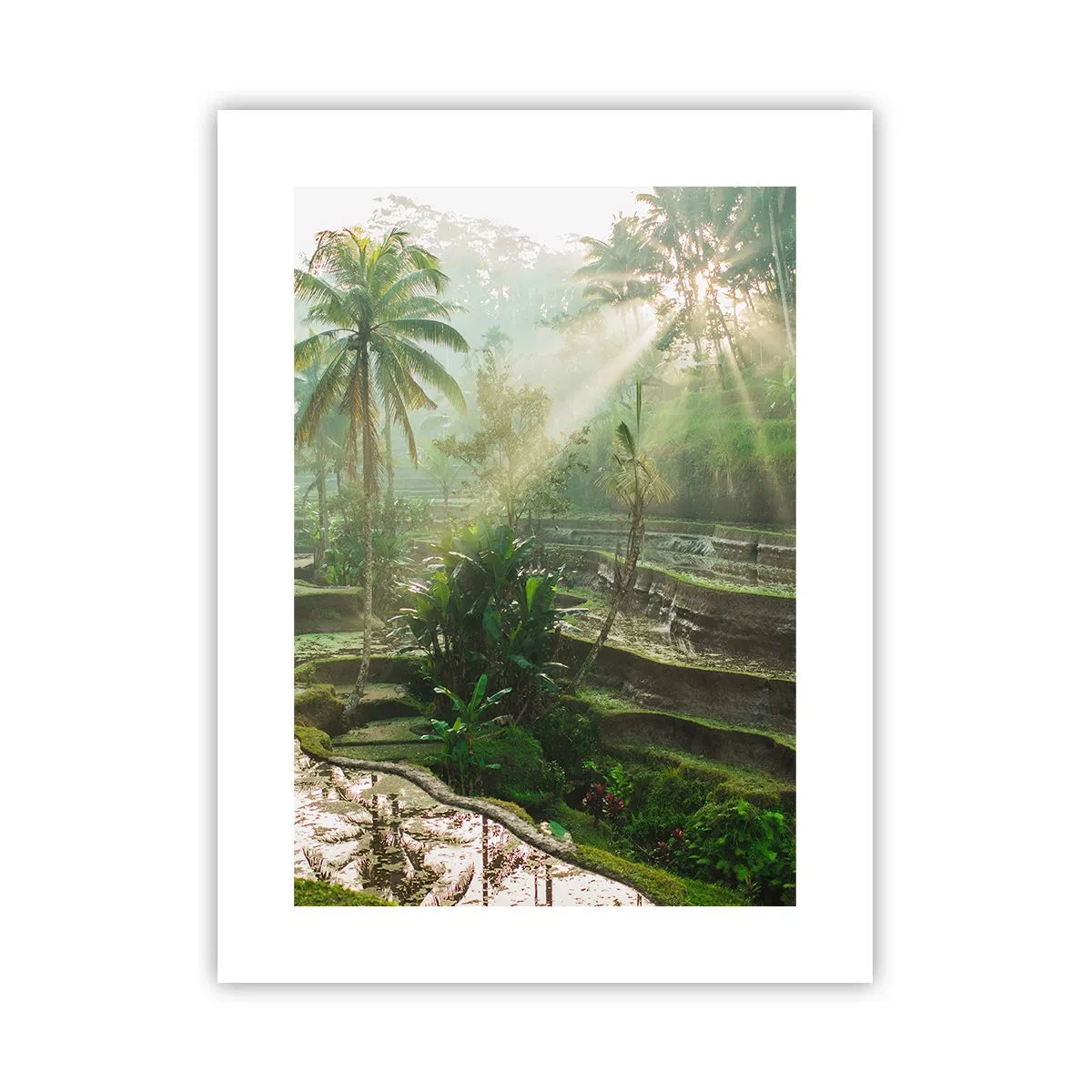 Plakát - Vyrůstát na slunci - 30x40 cm