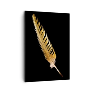 Obraz na plátně - Krásne peříčko… - 50x70 cm