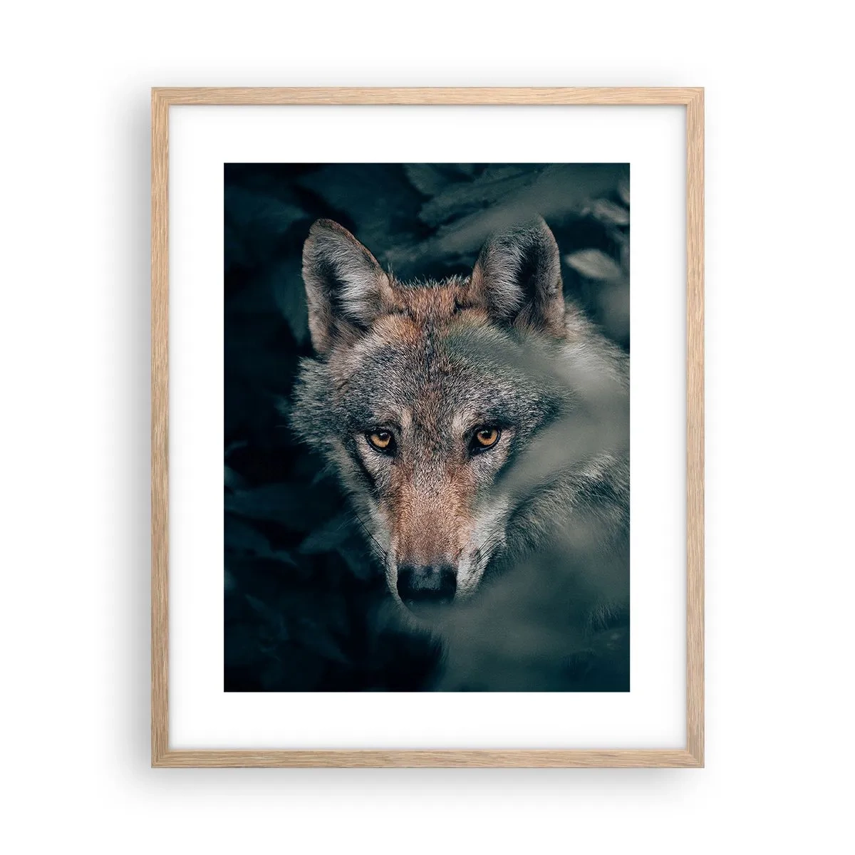 Plakát v rámu světlý dub - Predátor - 40x50 cm