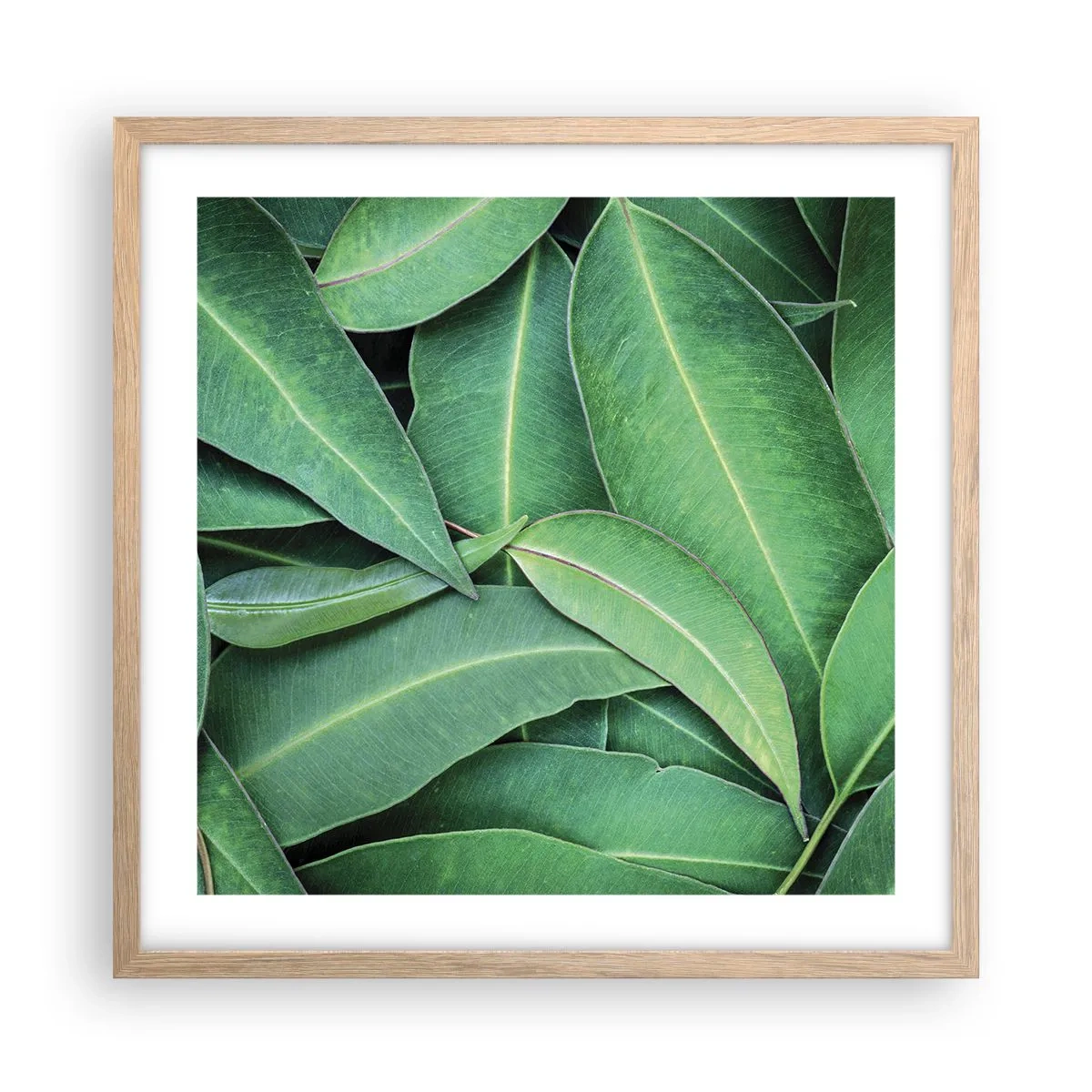 Plakát v rámu světlý dub - Šťavnaté a svěží - 50x50 cm