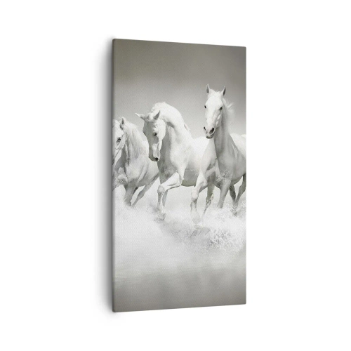 Obraz na plátně - Bílé šílenství - 55x100 cm