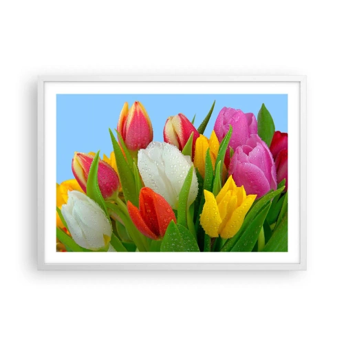 Plakát v bílém rámu - Květinová duha v kapkách rosy - 70x50 cm