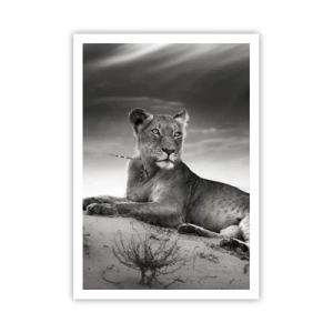 Plakát - Odpočinek královny pouště - 70x100 cm
