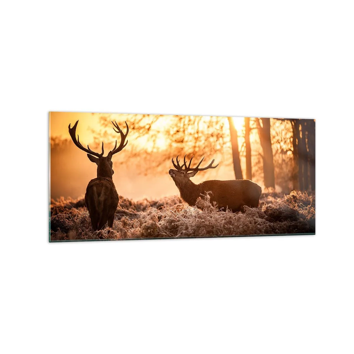 Obraz na skle - Sen myslivce - 120x50 cm