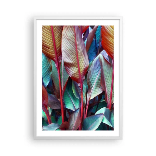 Plakát v bílém rámu - Barevná houština - 50x70 cm