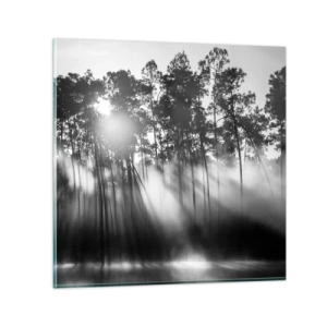 Obraz na skle - Nezastavitelné slunce - 60x60 cm