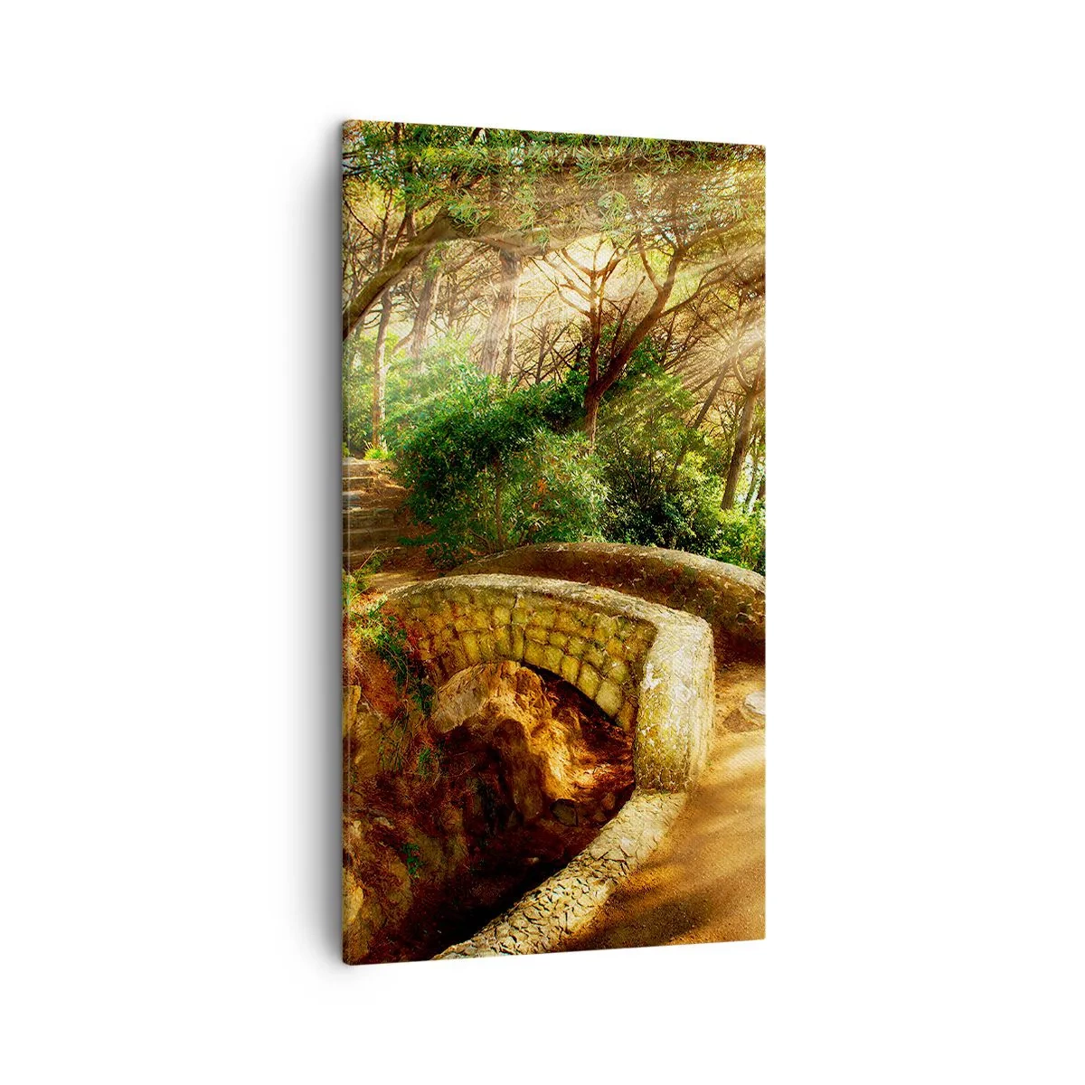 Obraz na plátně - Přímo z můstku v pohádkovém lese - 45x80 cm