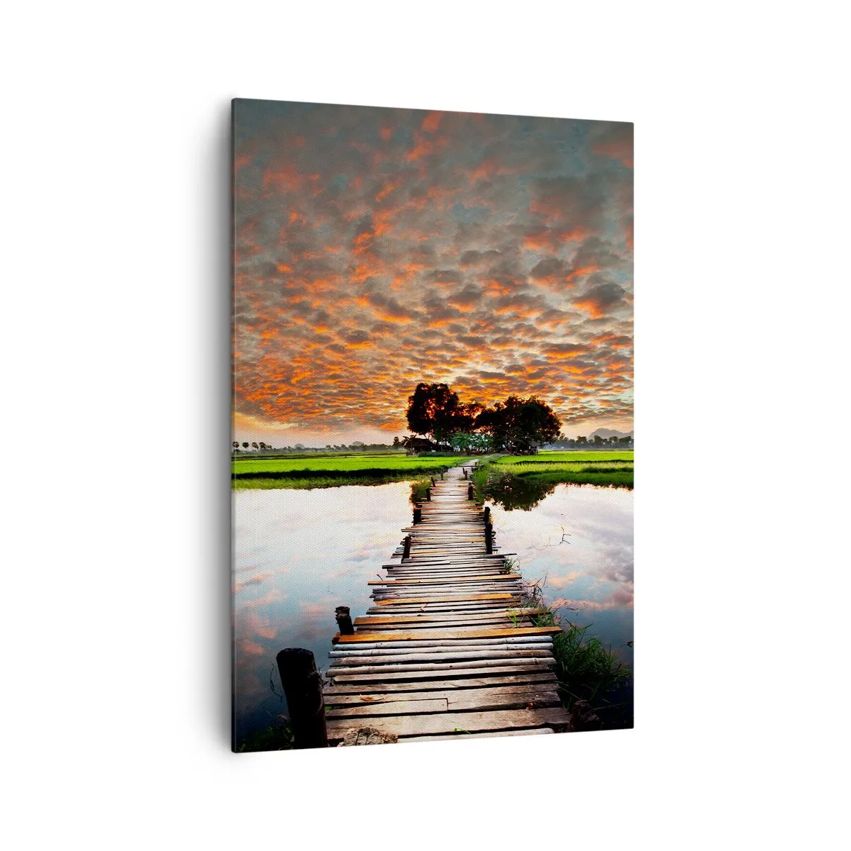 Obraz na plátně - Roztáhněte ruce - dýchejte  - 70x100 cm