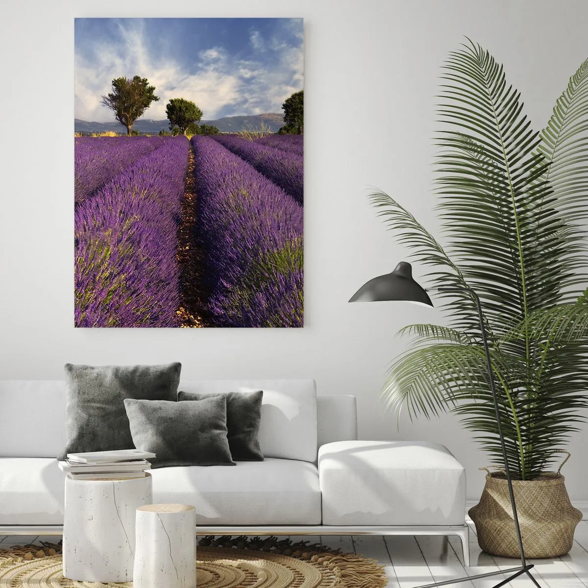 Obraz na skle - Levandulová pole - 50x70 cm