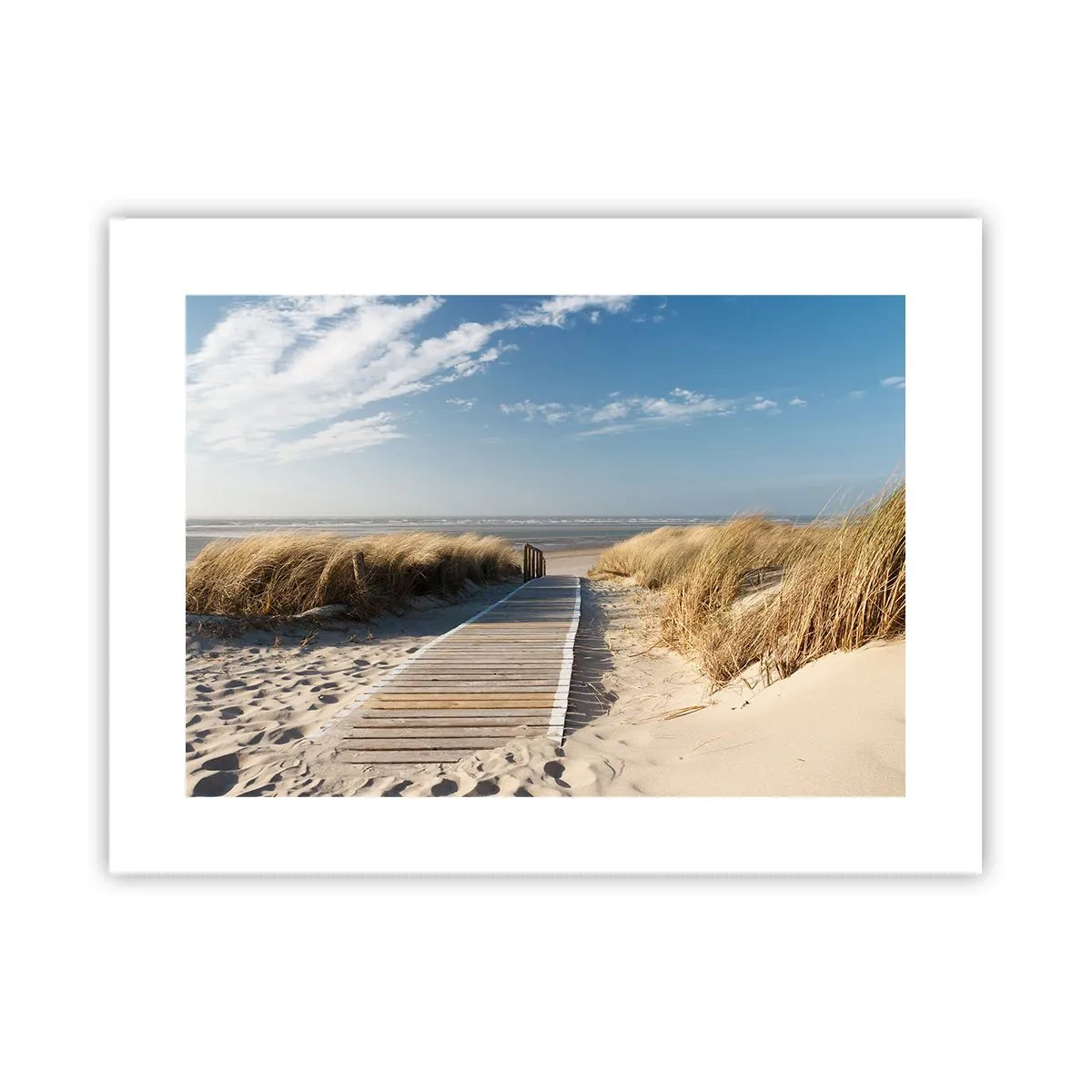 Plakát - Za dunou, v šumění trávy - 40x30 cm