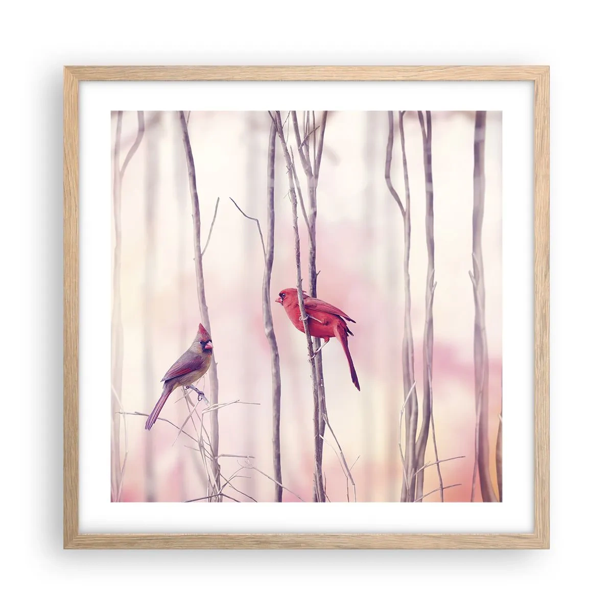 Plakát v rámu světlý dub - Příběh růžového lesa - 50x50 cm