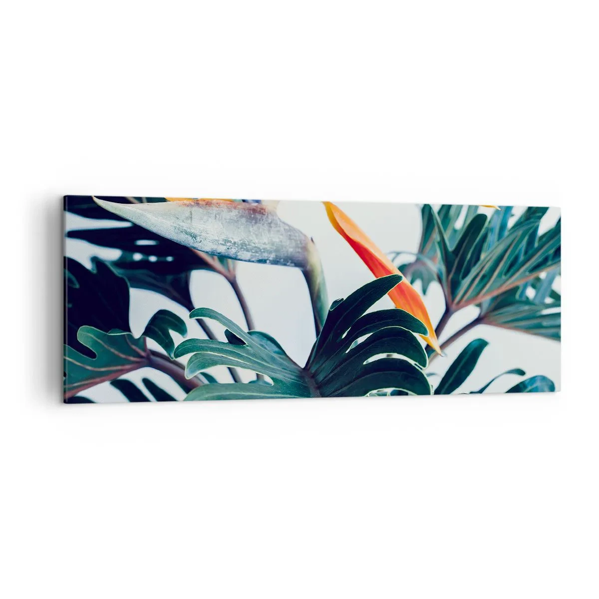 Obraz na plátně - Ptákeř - 140x50 cm