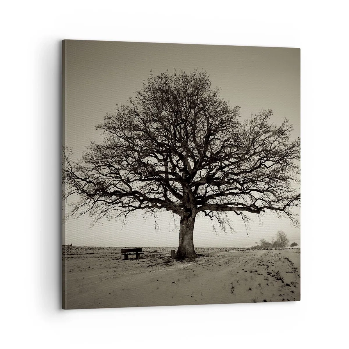 Obraz na plátně - Odtud až na věčnost - 60x60 cm