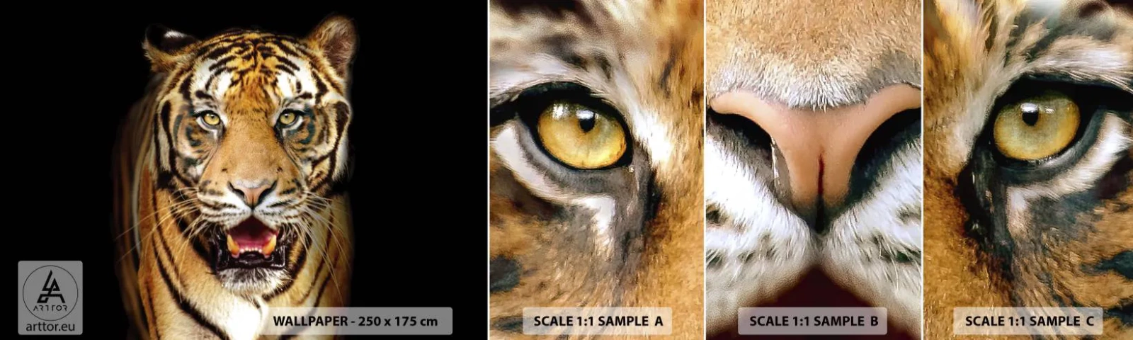 Vzor Fototapety Samolepicí Deluxe Sticker - Divokost srdce - Zvířata, Tygr, Dravec - 100x30 cm