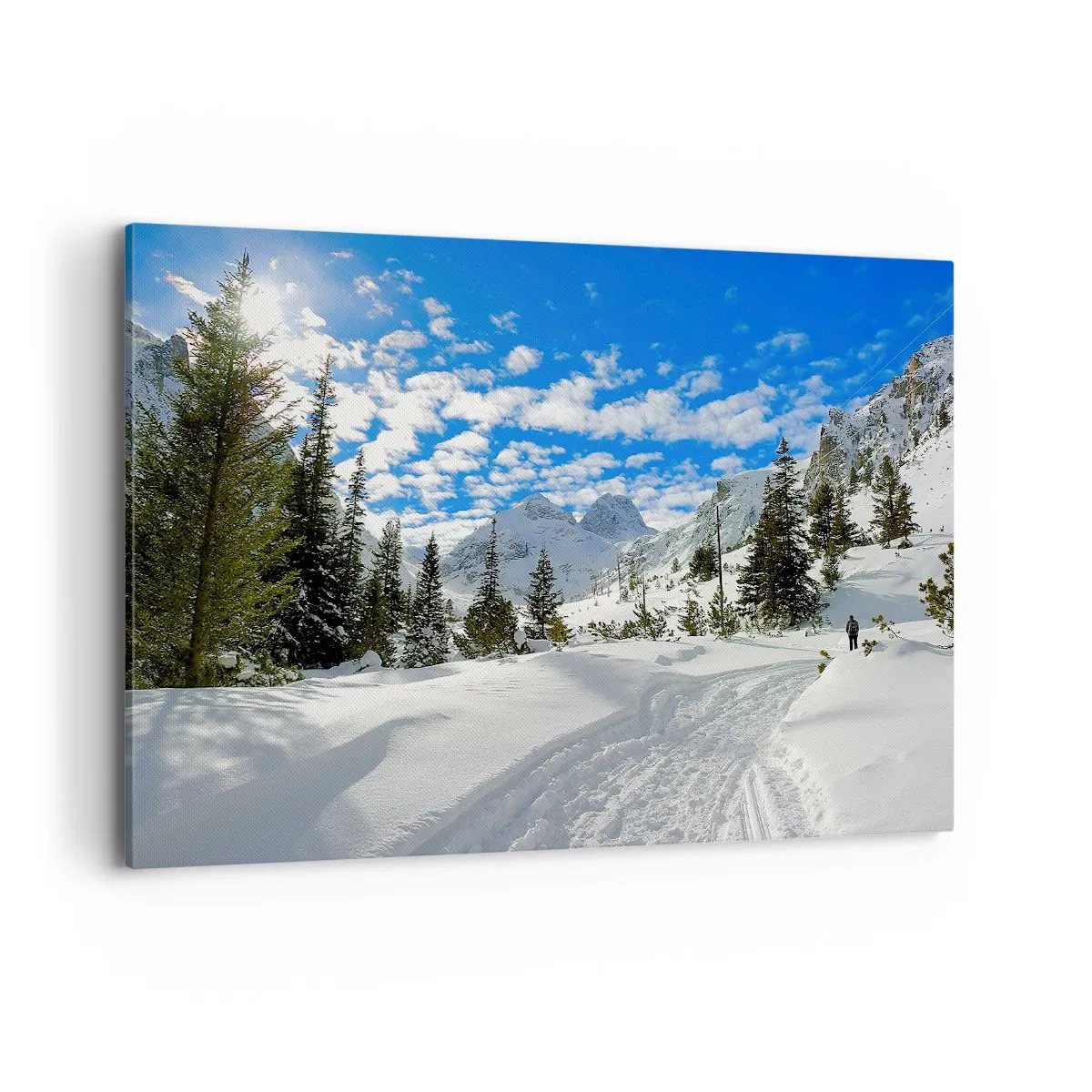 Obraz na plátně - Ve sněhu a na slunci - 100x70 cm