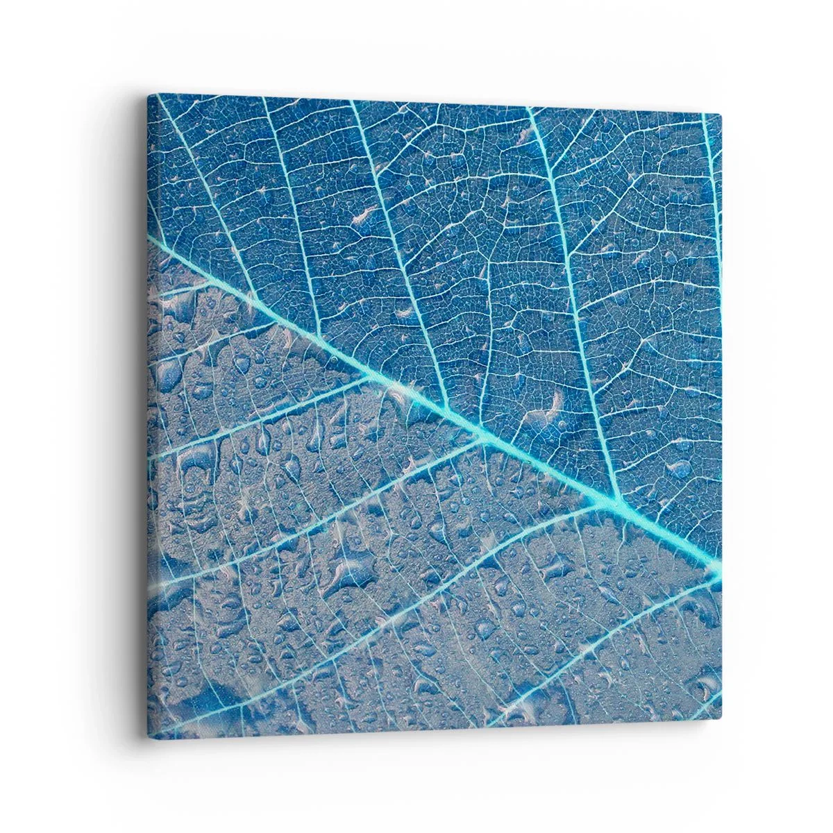 Obraz na plátně - Život v modři - 30x30 cm