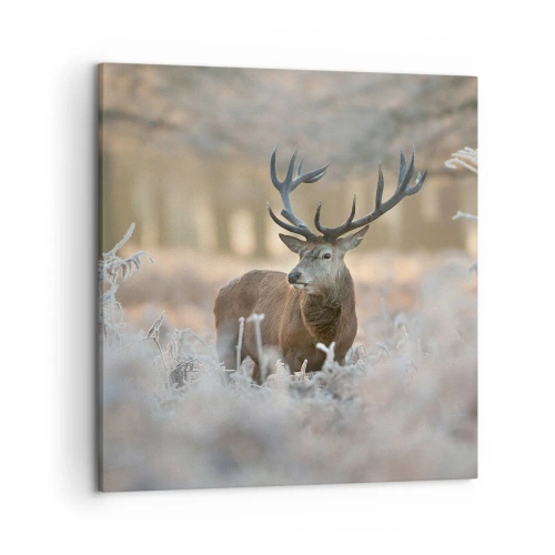 Obraz na plátně - Svěží ráno - 50x50 cm