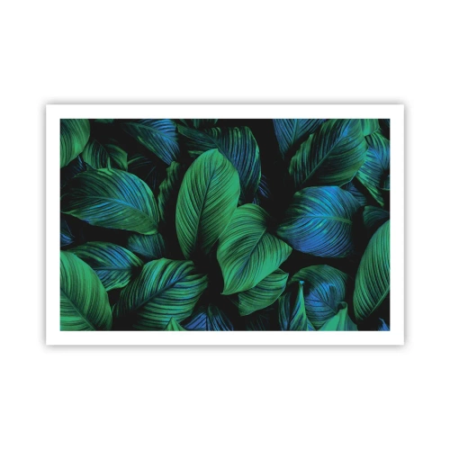 Plakát - V zeleném davu - 91x61 cm