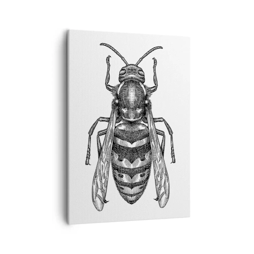 Obraz na plátně - Z hmyzí planety - 50x70 cm