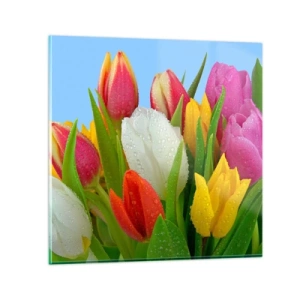 Obraz na skle - Květinová duha v kapkách rosy - 50x50 cm