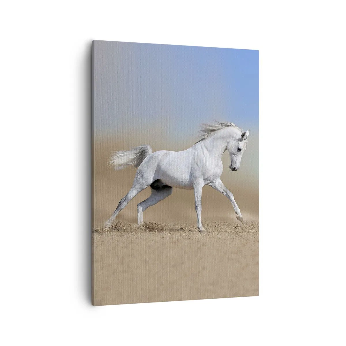 Obraz na plátně - Nejkrásnější arabská pohádka - 50x70 cm