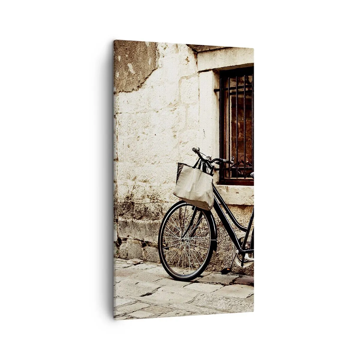 Obraz na plátně - Návrat do minulosti - 45x80 cm