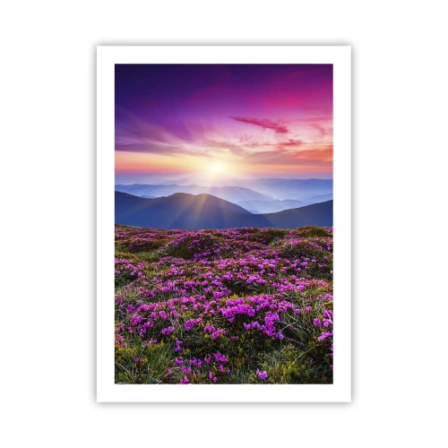 Plakát - Zavoněly svěží pupeny bylinek z obilných polí - 50x70 cm