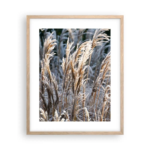 Plakát v rámu světlý dub - Mrazem pokryté - 40x50 cm